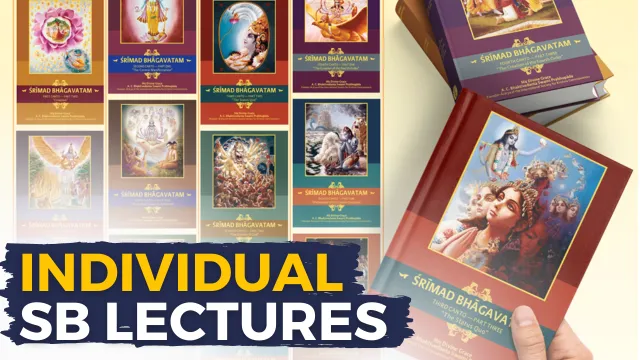 Individual SB lectures